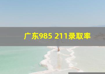 广东985 211录取率